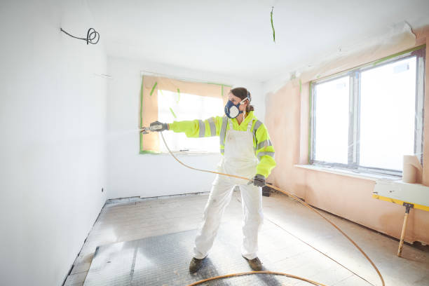 Touch-Up Painting in Birch Bay, WA