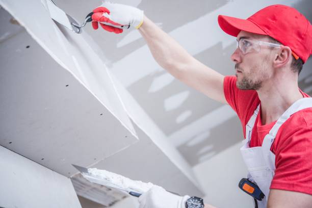 Best Ceiling Drywall Installation  in Birch Bay, WA